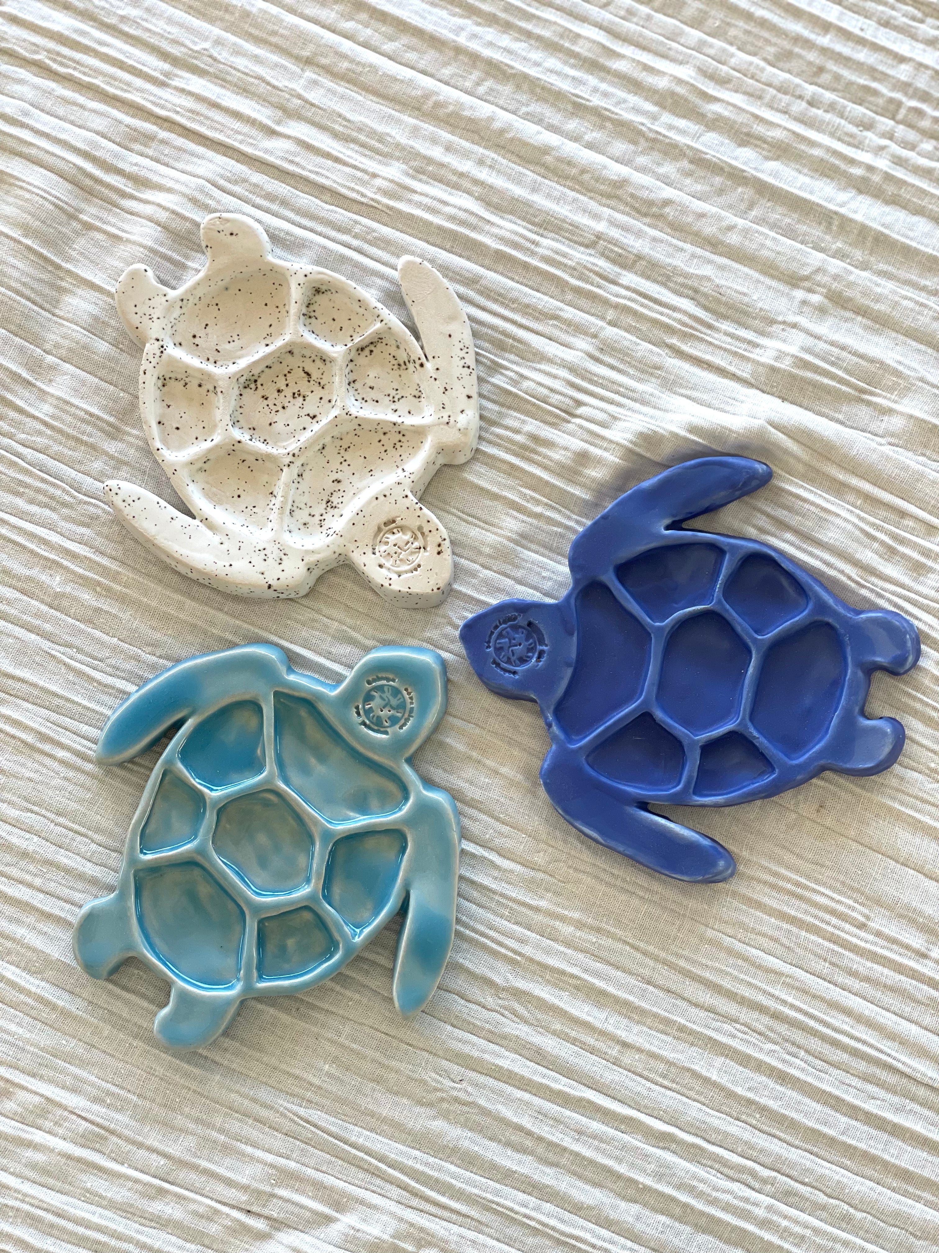 Palette Créative Tortue