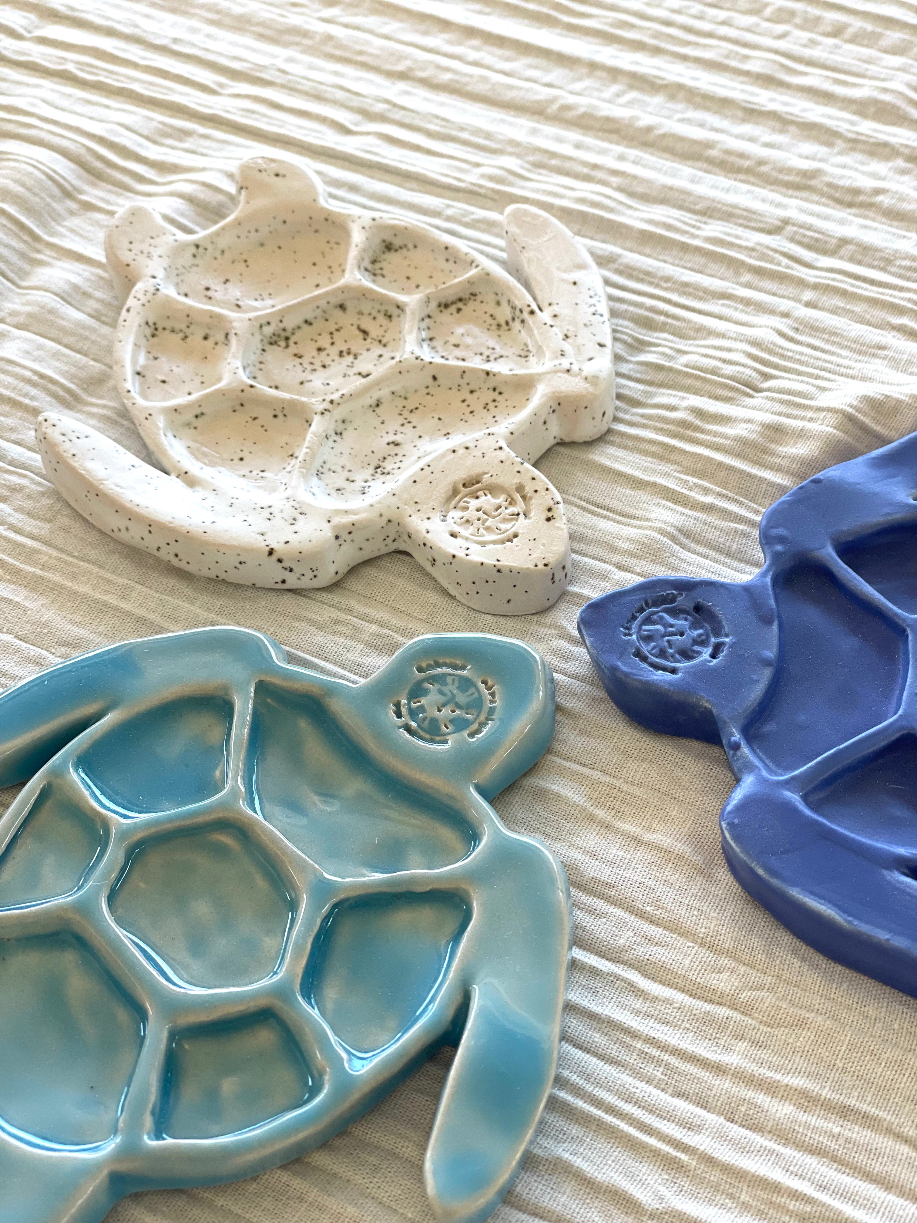 Palette Créative Tortue