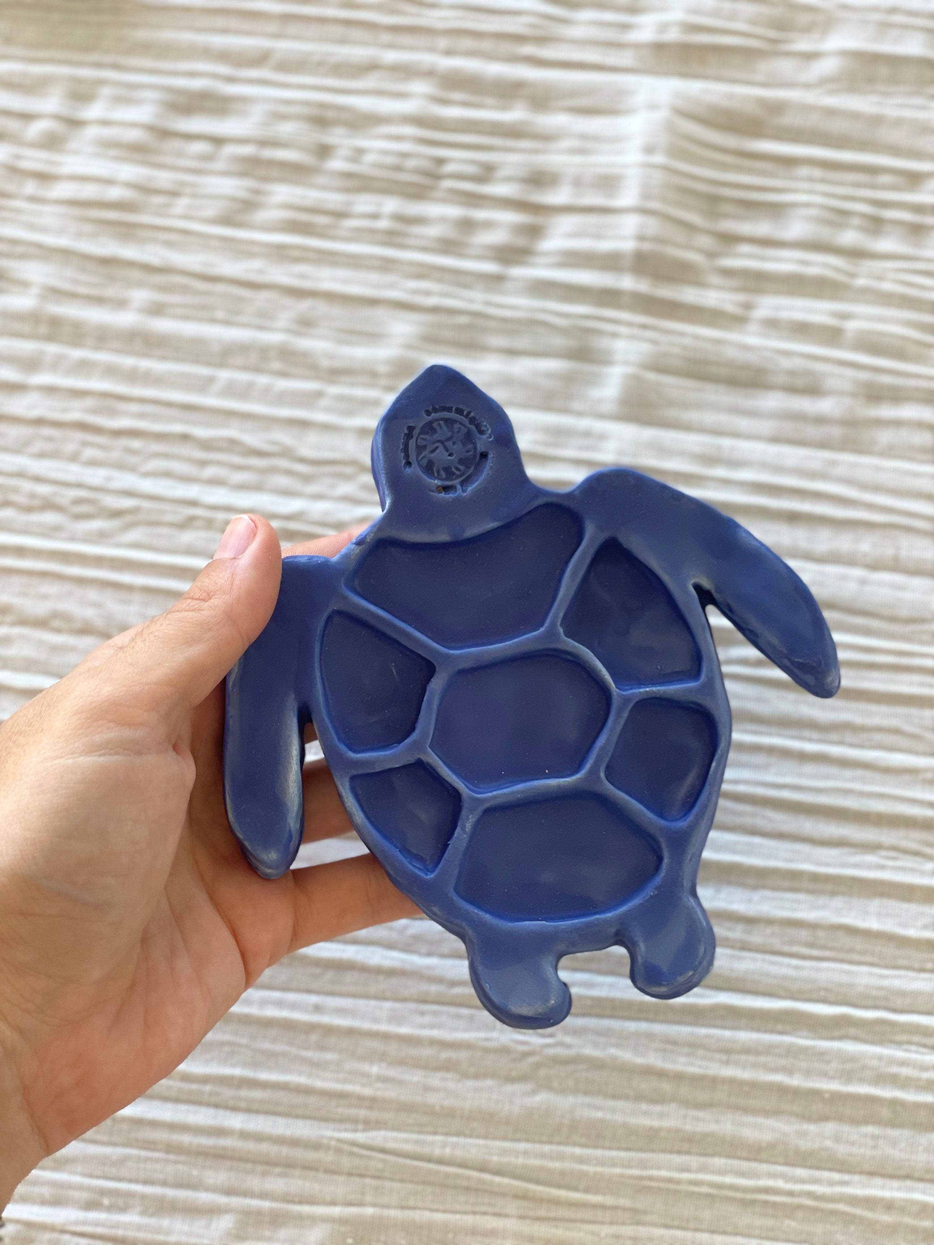 Palette Créative Tortue