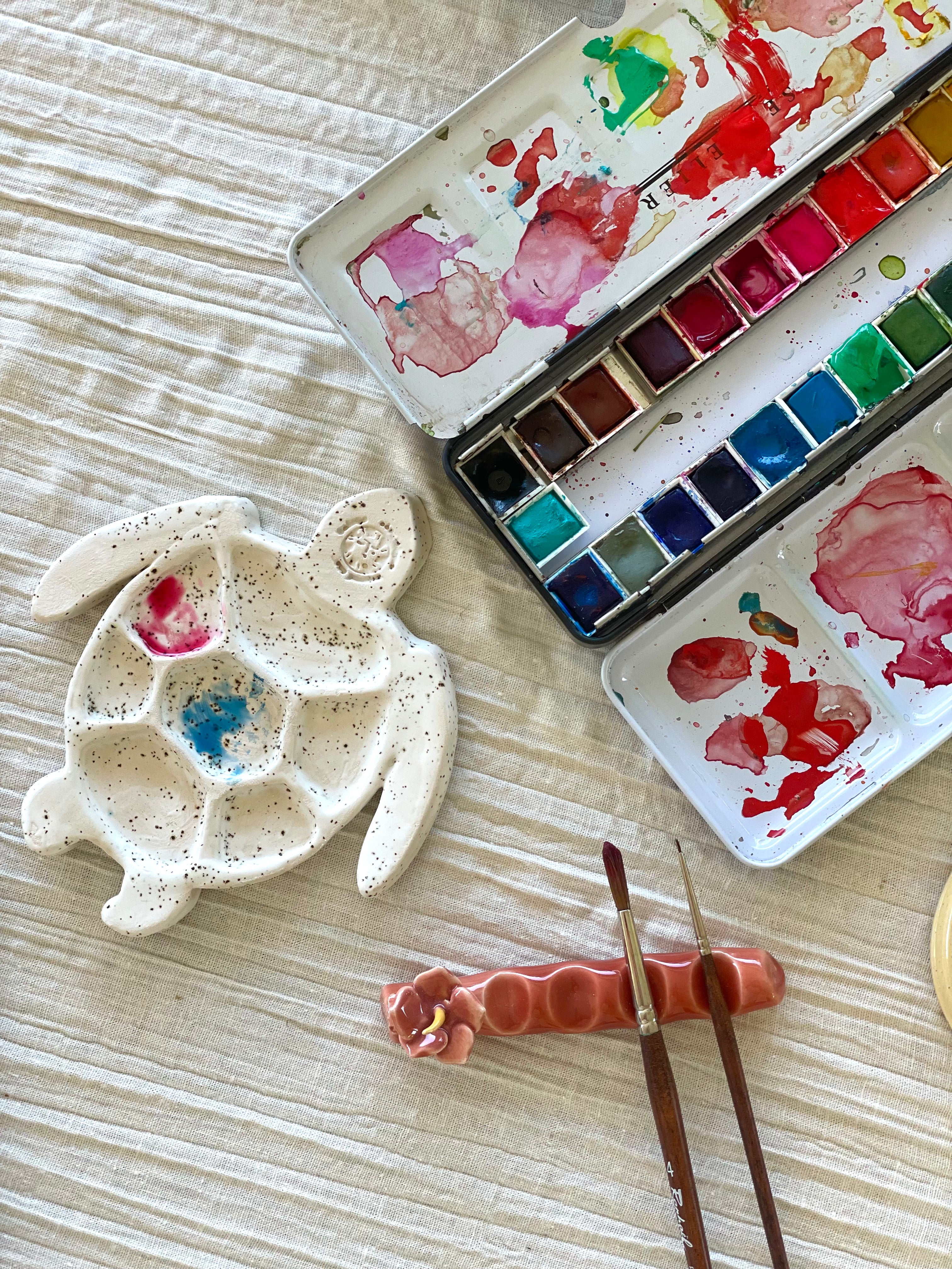 Palette Créative Tortue